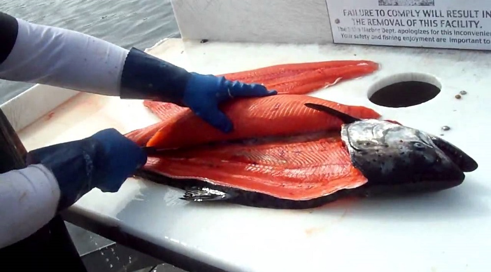 Как правильно разделать чавычу Разделка тушки чавычи