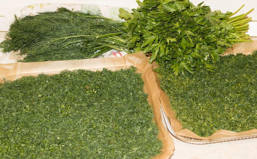 Измельченный укроп для сушки в духовке Резанный укроп на подносах