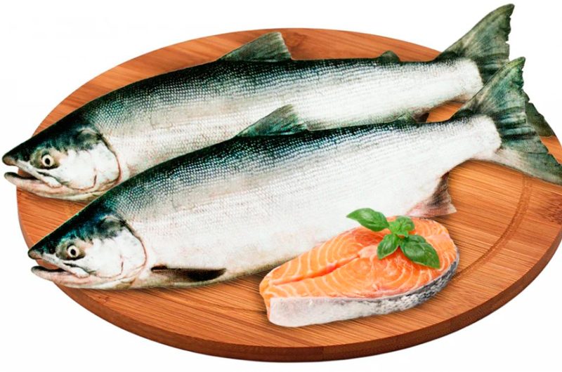 Горбуша: красная рыба Рыба горбуша