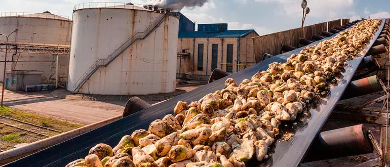 сахарный завод