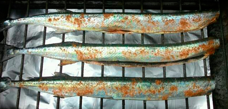 Копчение саргана Сарган