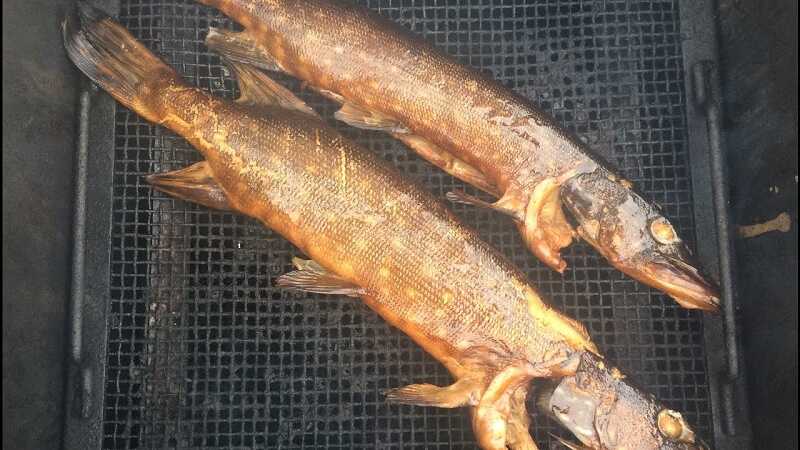 Копчение щуки горячим способом Копчение щуки