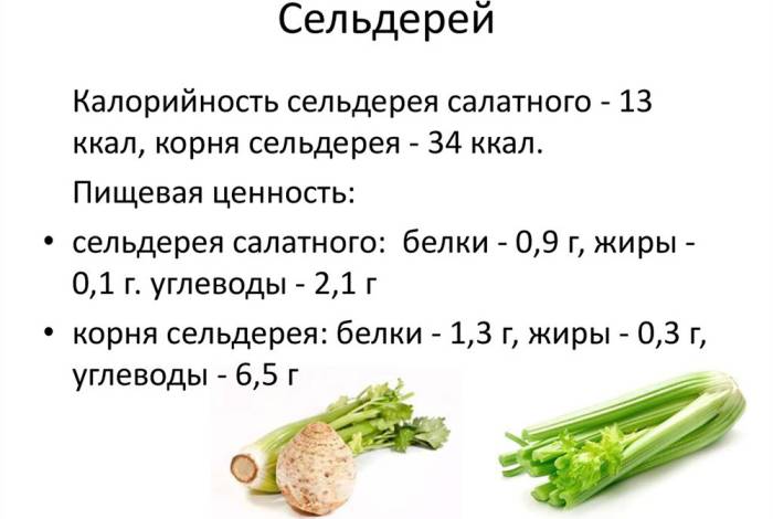 Пищевая ценность сельдерея Сельдерей и калории