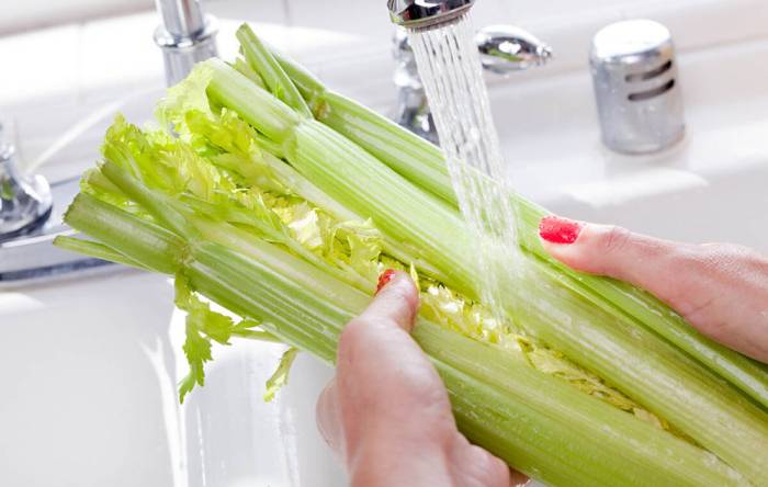 Промывание сельдерея под проточной водой Сельдерей и вода