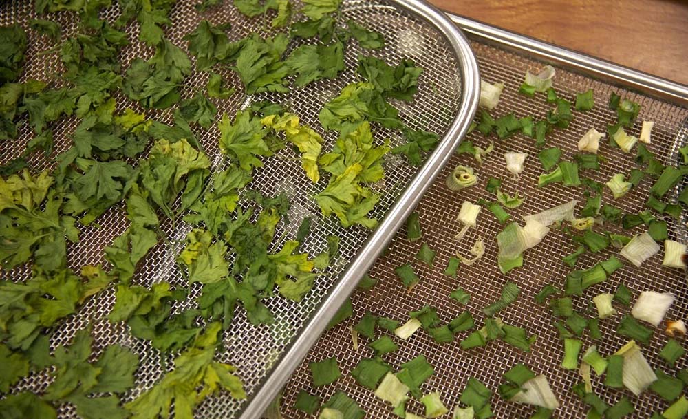 Сушка листьев сельдерея в электросушилке Сельдерей в сушилке