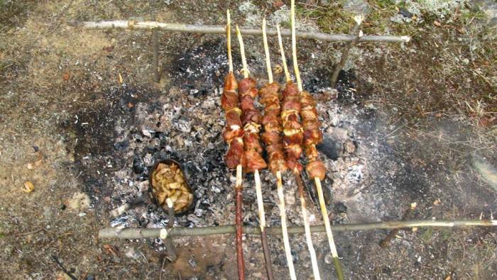 Приготовление шашлыка на веточках фруктовых деревьев Шашлык на ветках
