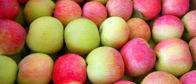 слава победителю яблоки