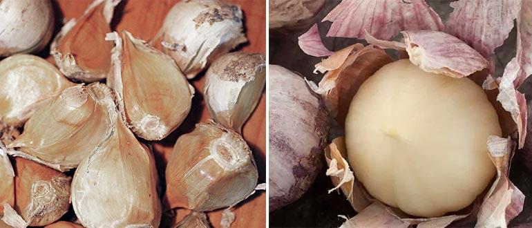 слоновий чеснок зубчики