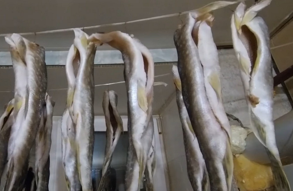 Щука вялится на веревке Щука сушится на веревке