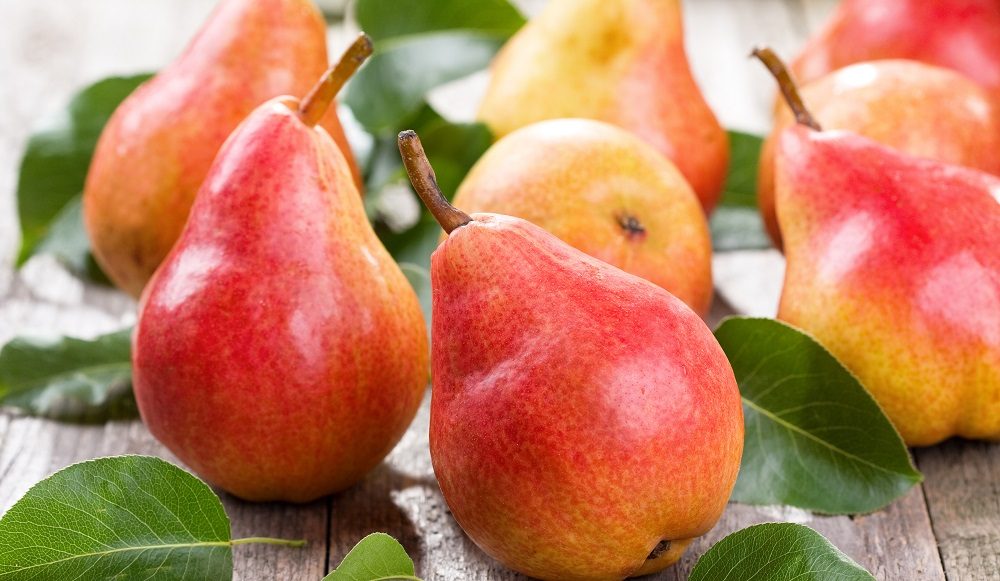 Выбор груши для копчения Спелые груши на столе