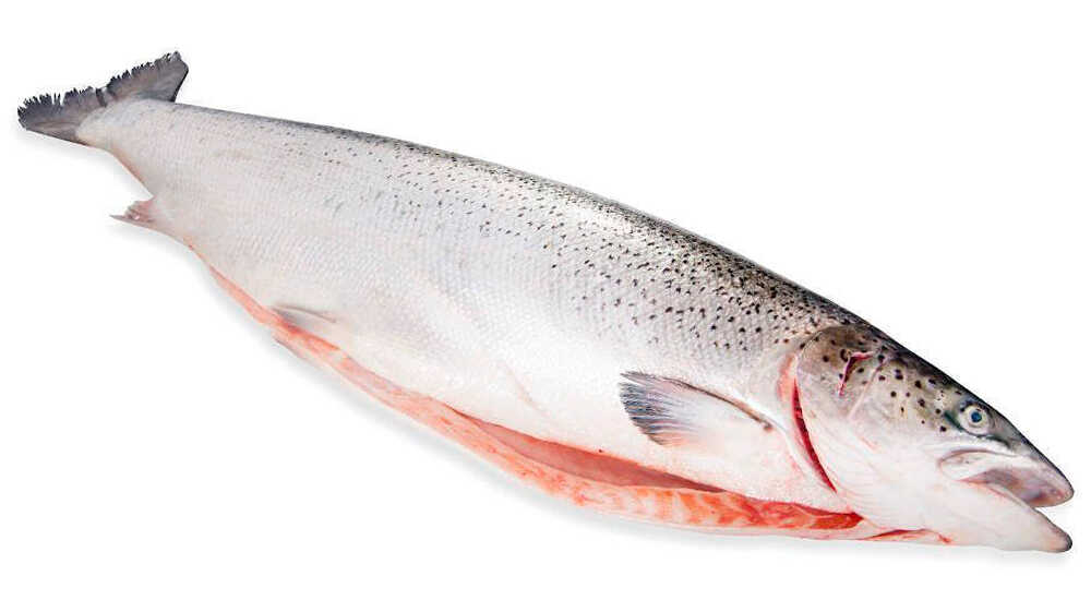 Очищенная тушка лосося с головой Разделанная тушка лосося