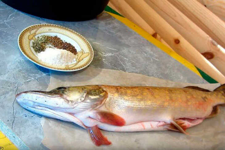 Сухая засолка щуки Сухой способ засолки