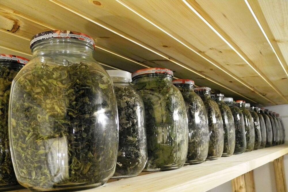 Хранение кипрея в стеклянной таре Сушеный Иван-чай в стеклянных банках