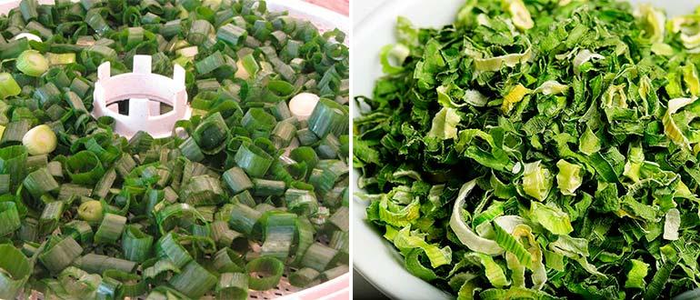 сушеный лук зеленый