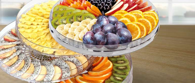 сушка плодов в сушилке