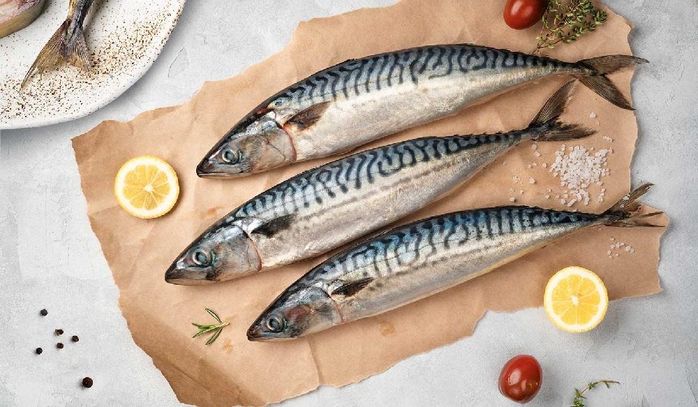 Как выглядит свежая атлантическая скумбрия Свежая атлантическая скумбрия