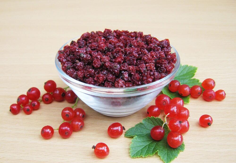 Сушеные ягоды красной смородины Свежая и сухая красная смородина