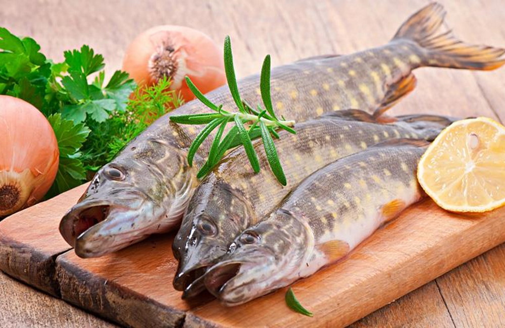 Три средние тушки щуки На деревянной доске тушки свежей рыбы