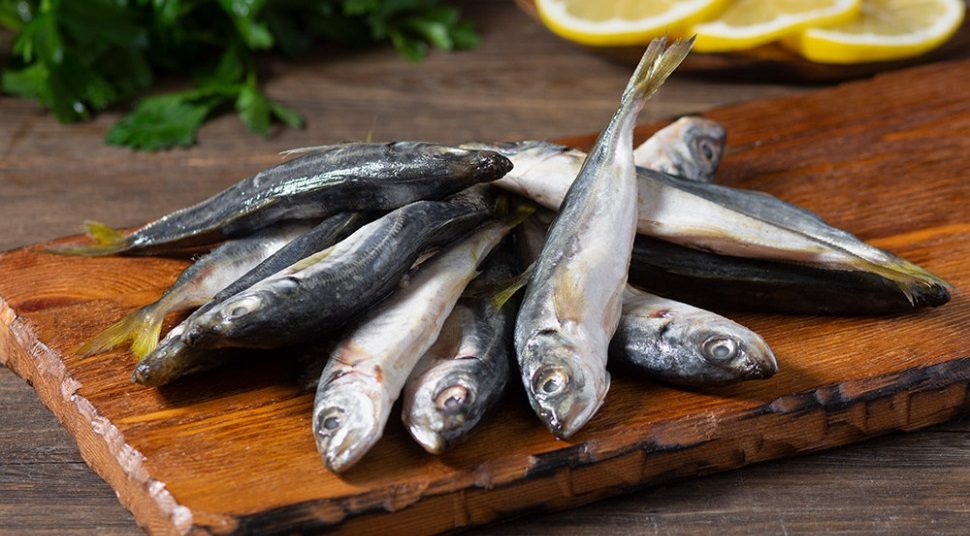 Как выглядит свежемороженая ставрида Свежемороженая ставрида на столе