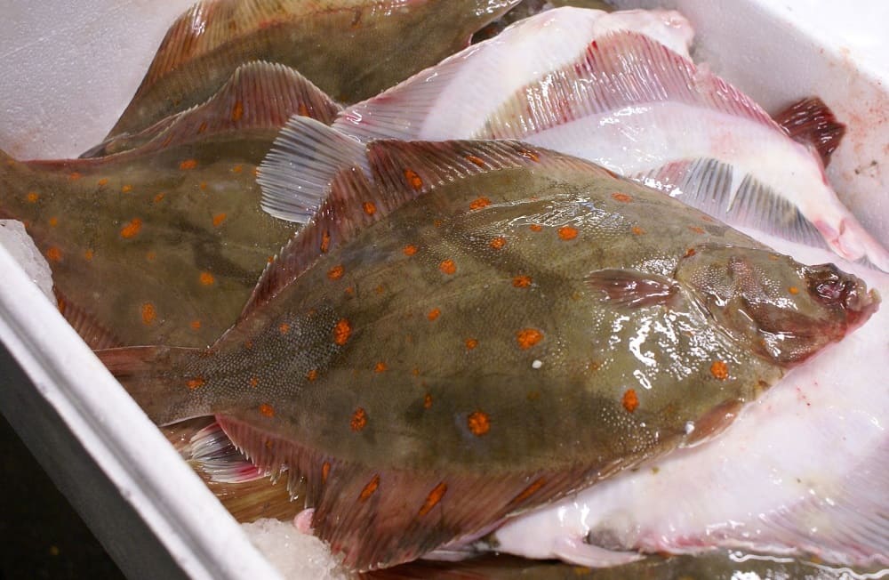 Свежая морская рыба для вяления Свежий морской ерш