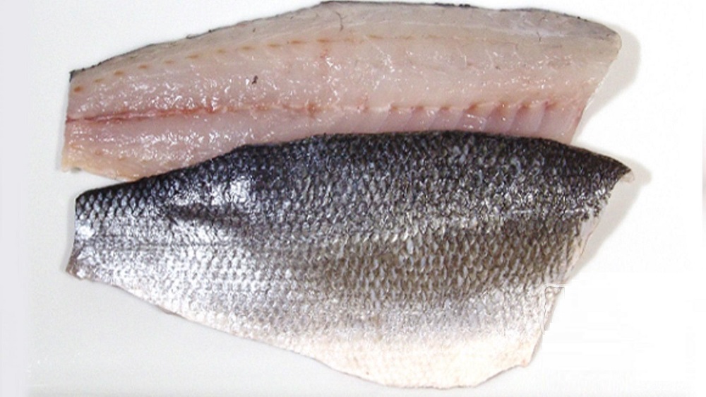 Как выглядит филе дорадо Сырое филе дорадо