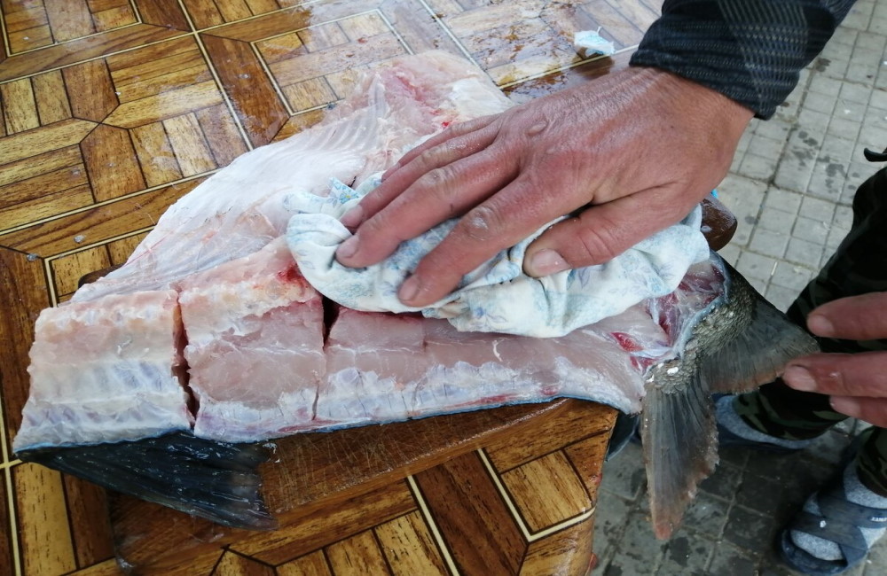 Толстолобика просушивают салфетками Тушку рыбы просушивают салфетками