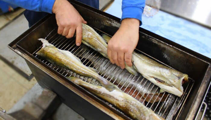 Копчение трески Треска в коптильне горячего копчения