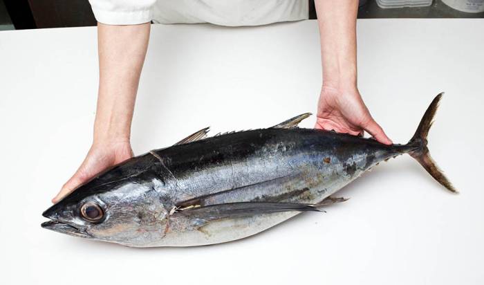 Выбор для тунца для шашлыка Тунец для шашлыка