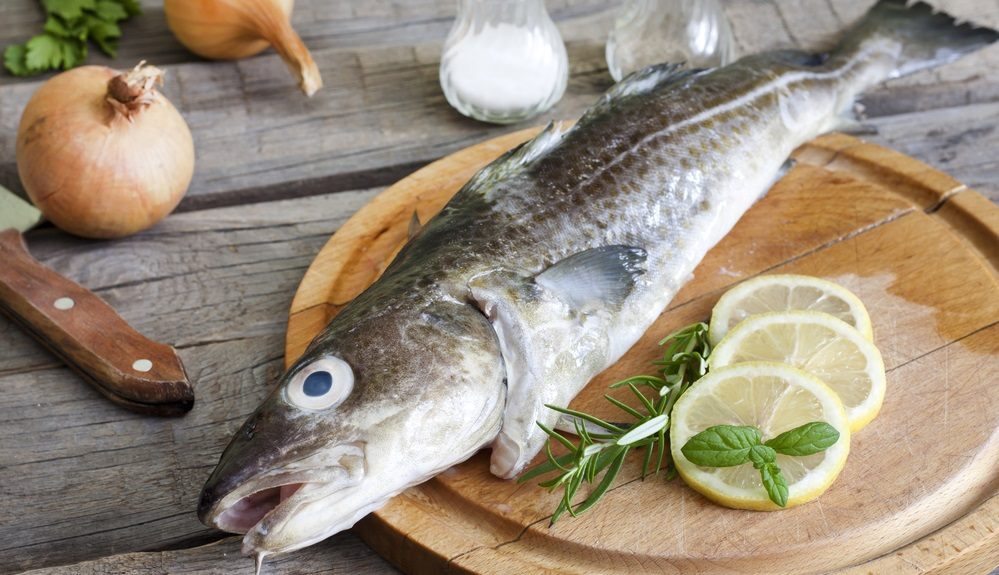 Как выглядит треска Тушка трески на столе