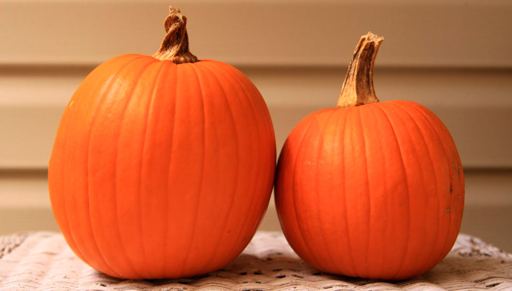 Тыква для блюда Тыква