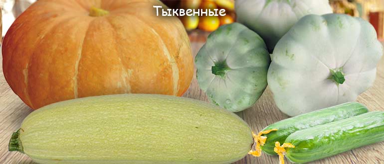 Тыквенные