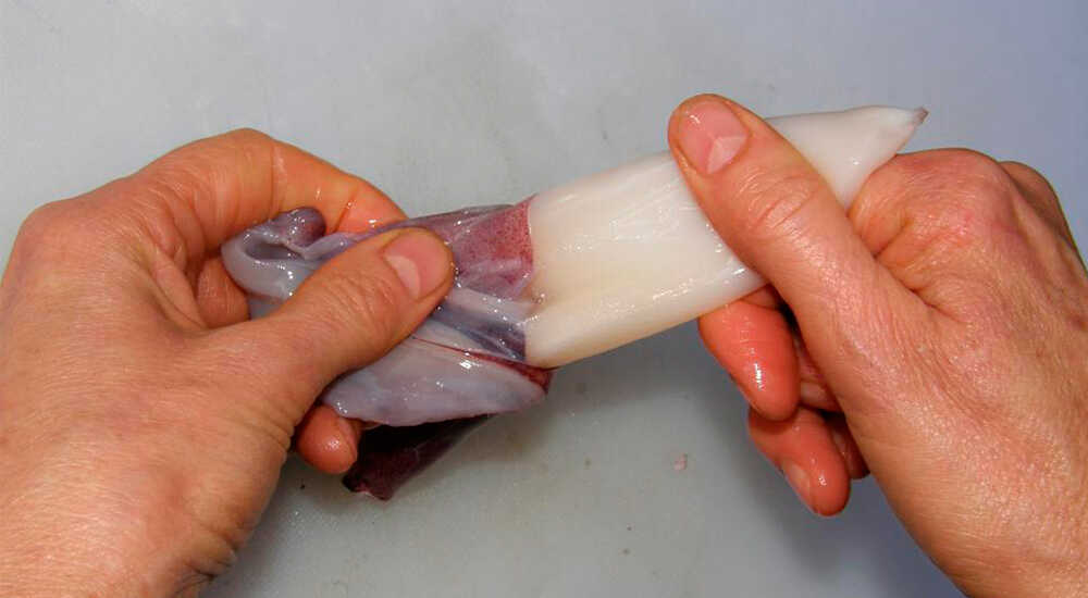 Чистка кожи кальмара Удаление пленки у кальмара