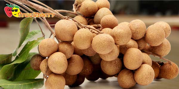 ветка-лонгана