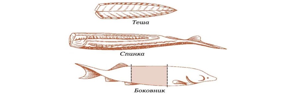 Способы разделки рыбы под балык Виды разделки рыбы