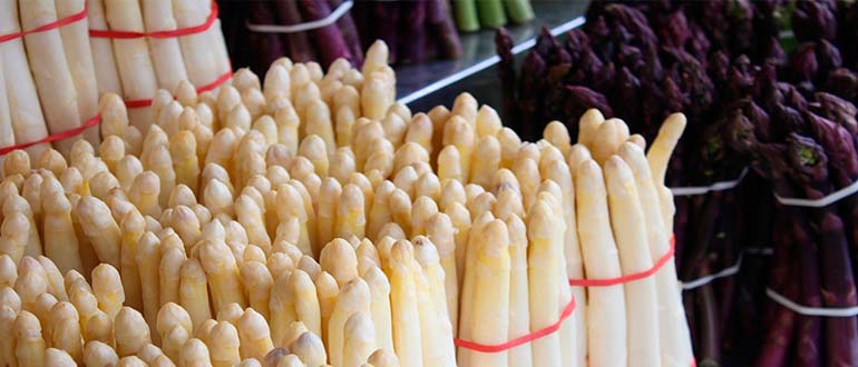 виды спаржи фото