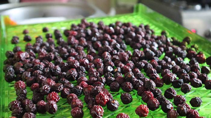 Высушенная на улице вишня Вишня с улицы