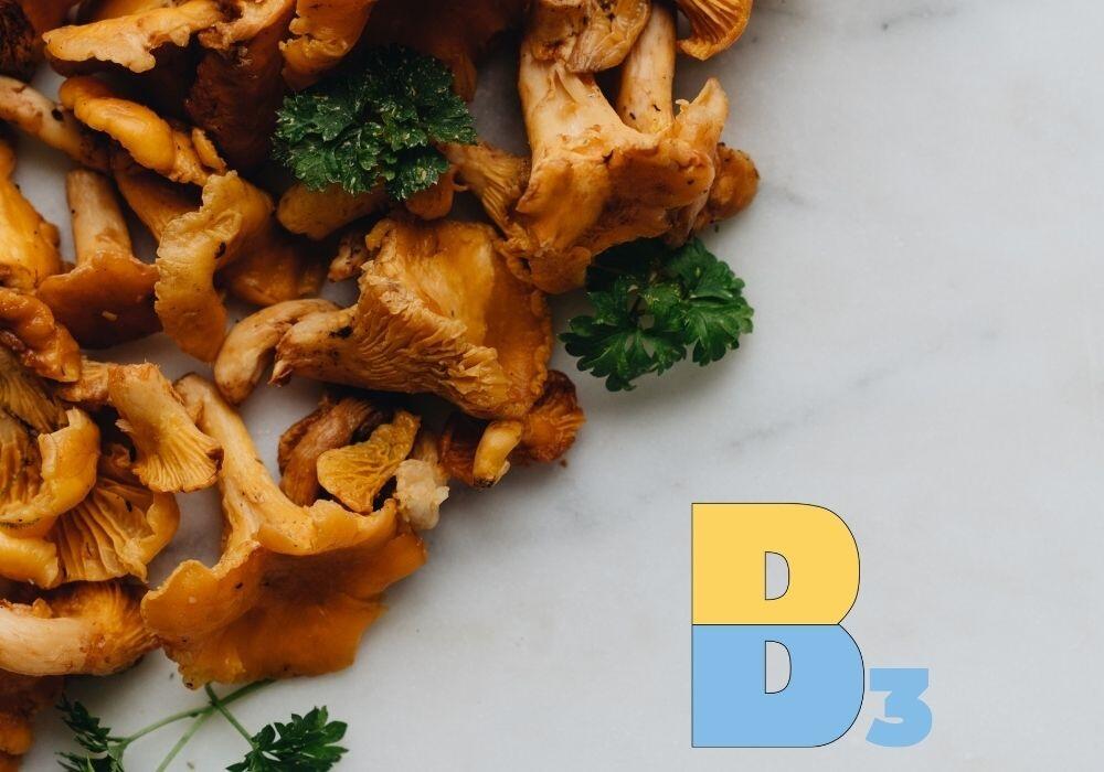 Ниацин (или витамин В3) в лисичках Витамин В3 в лисичках