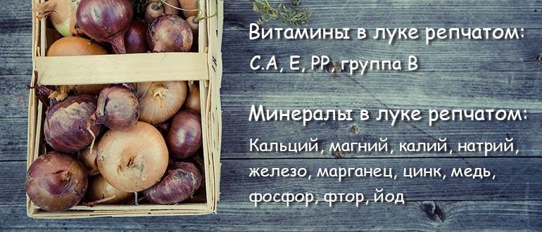 витамины в луке репчатом