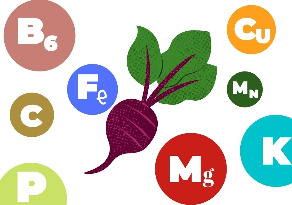 Микроэлементы, содержащиеся в свекле Витамины в свекле