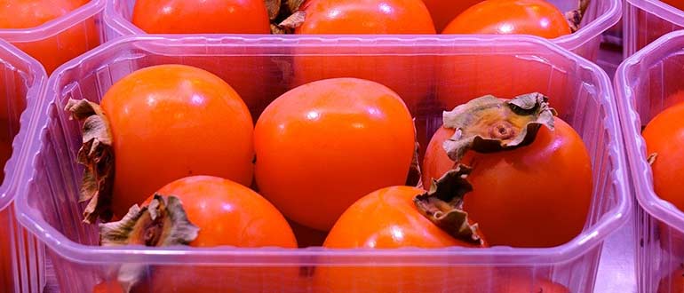 выбирать хурму