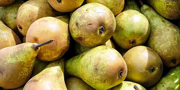 выбор-груши