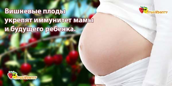 Вишня это ягода или фрукт, польза и вред для здоровья