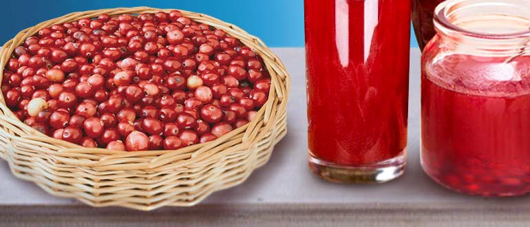 ягоды клюквы при цистите