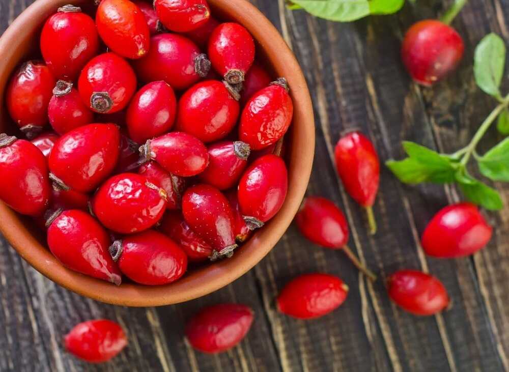 Свежие плоды шиповника Ягоды шиповника в деревянной миске