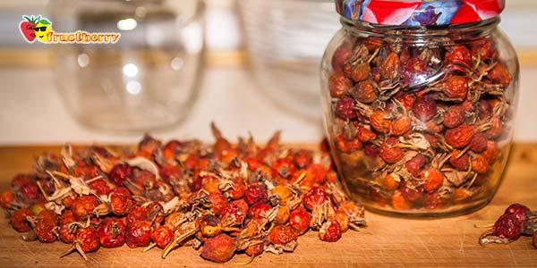 заготовка-шиповника