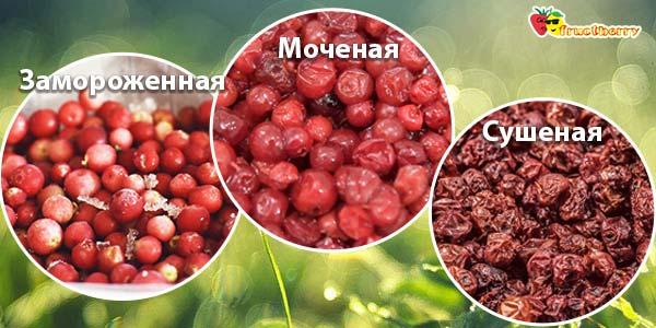 заготовки брусники