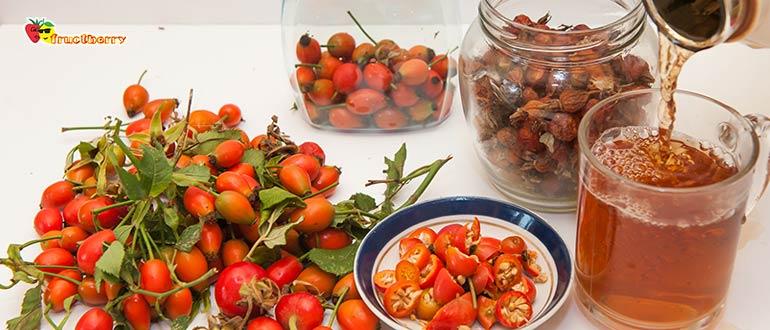 заваривание шиповника в термосе